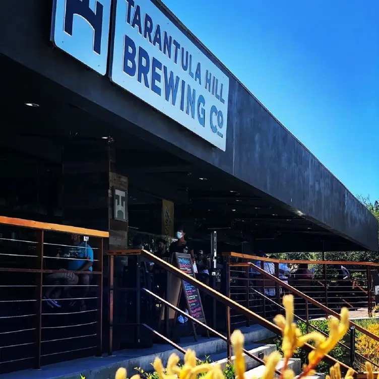 Tarantula Hill Brewing Co.