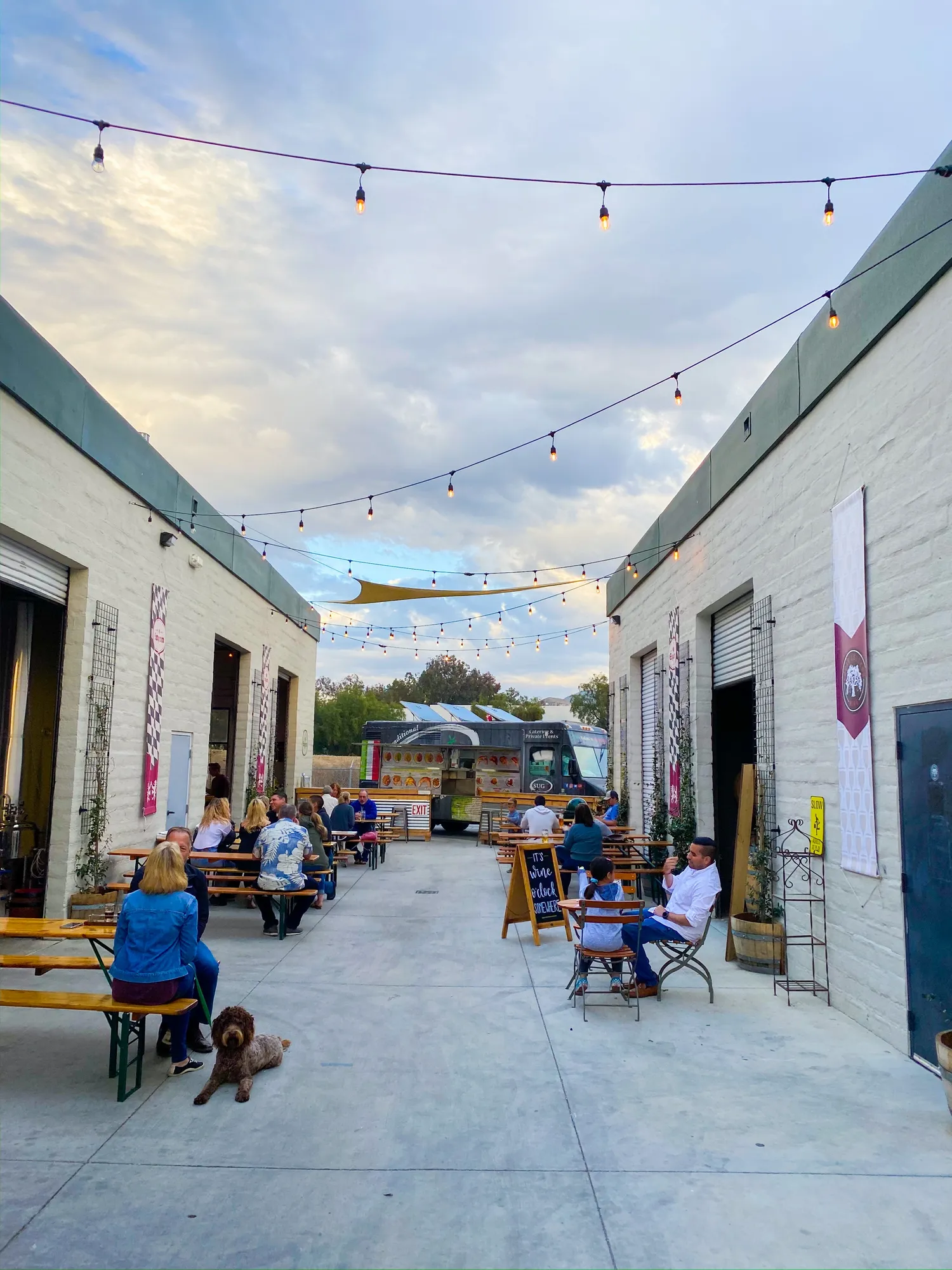The Alley