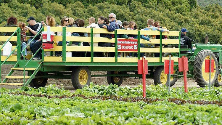 Underwood Family Farms